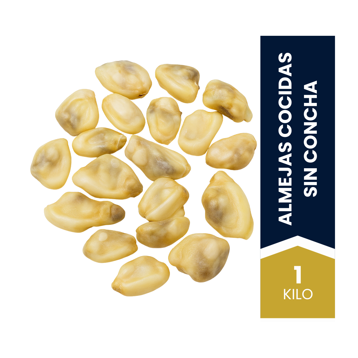 fotos-web-2025-almejas-cocidas-1-2