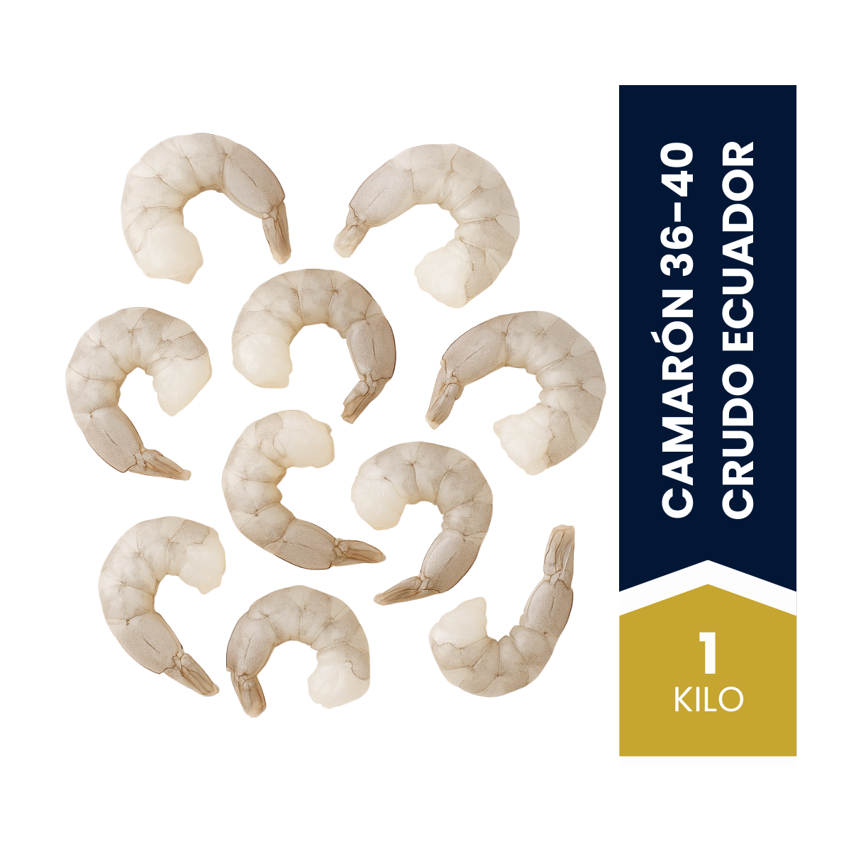 fotos-web-2025-camaron-crudo-1